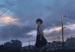  bad_id bad_pixiv_id bag brown_hair cloud cloudy_sky dark dusk hanno house neck_ribbon original power_lines profile ribbon school_bag school_uniform serafuku short_hair sky solo telephone_pole tree wind 