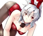  all_fours animal_ears bare_shoulders black_legwear breasts bunny_ears bunny_girl bunnysuit chaigidhiell cleavage fake_animal_ears inubashiri_momiji large_breasts leotard looking_at_viewer pantyhose red_eyes red_leotard silver_hair solo touhou wolf_ears 
