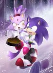  1girl blaze_the_cat cat couple fang hedgehog married slippers sonic sonic_the_hedgehog 
