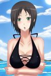  breasts green_eyes large_breasts m_(masa11051105) marie_(persona_4) persona persona_4 persona_4_the_golden short_hair 