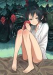  bare_legs barefoot black_hair blue_eyes bottomless feet food fruit grapes ground_vehicle hermes kino kino_no_tabi leaf legs long_sleeves motor_vehicle motorcycle no_pants shirt short_hair sitting smile solo white_shirt window1228 