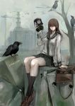  bag bird brown_eyes brown_hair bullet_hole chernobyl chernobyl_npp crow gas_mask highres jittsu kneehighs long_hair original pleated_skirt russian satchel school_uniform serafuku sitting skirt solo translated 