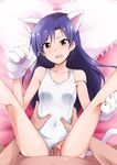  1girl animal_ears bed blush breasts brown_eyes cat_ears cat_paws censored collarbone highres idolmaster kaiga kisaragi_chihaya legs legs_up long_hair looking_at_viewer lying open_mouth paws penis pubic_hair purple_hair pussy sex small_breasts sweat swimsuit tail thighs vaginal 