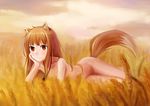  animal_ears brown_hair holo long_hair nude red_eyes smile solo spice_and_wolf tail wheat wolf_ears wolf_tail zzz_(chomic) 