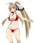  amagi_brilliant_park antenna_hair bikini breasts brown_eyes brown_hair hair_intakes large_breasts long_hair ponytail red_bikini sento_isuzu solo swimsuit transparent_background very_long_hair zergling_(cdror1004) 