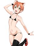  animal_ears bad_id bad_pixiv_id bikini blush cat_ears chikuishi choker flat_chest highres hoshizora_rin looking_at_viewer love_live! love_live!_school_idol_project mary_janes micro_bikini open_mouth orange_hair shoes short_hair smile solo swimsuit thighhighs yellow_eyes 