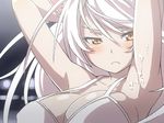  animal_ears armpits arms_up bakemonogatari black_hanekawa blush bra breasts cat_ears cleavage frown hanekawa_tsubasa kuro_oolong large_breasts long_hair monogatari_(series) sketch solo suggestive_fluid underwear white_hair yellow_eyes 