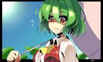  ascot green_hair kazami_yuuka looking_at_viewer miton_(turuyasann) plaid plaid_vest red_eyes short_hair smile solo touhou umbrella vest 