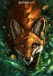  2018 amber_eyes ambiguous_gender black_nose canine detailed_background digital_media_(artwork) feral flashw fox fur looking_at_viewer mammal no_sclera orange_fur solo 