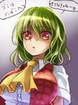  ascot breasts check_translation green_hair kazami_yuuka large_breasts looking_at_viewer open_clothes open_vest red_eyes shaded_face shironeko_yuuki shirt solo touhou translated translation_request upper_body vest 