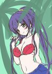  bikini_top blush breasts crescent crescent_earrings earrings frapowa green_eyes holding holding_hair jewelry large_breasts long_hair looking_at_viewer love_live! love_live!_school_idol_project midriff navel ponytail purple_hair red_bikini_top sketch smile solo toujou_nozomi very_long_hair 