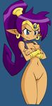  1girl areolae blue_eyes breasts earrings jewelry medium_breasts navel nipples nude nude_filter photoshop purple_hair pussy shantae shantae_(character) shantae_and_the_pirate&#039;s_curse shantae_and_the_pirate's_curse solo uncensored wayforward 