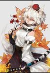  animal_ears detached_sleeves frea hat inubashiri_momiji leaf maple_leaf red_eyes short_hair silver_hair solo tail tokin_hat touhou wolf_ears wolf_tail 