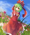  arms_behind_back blue_sky bow cloud cloudy_sky day dress field flower flower_field frilled_skirt frills front_ponytail green_eyes green_hair hair_bow hair_ribbon kagiyama_hina kanno_fumiroku long_hair open_mouth puffy_short_sleeves puffy_sleeves red_dress ribbon short_sleeves skirt sky smile solo touhou 