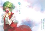  ascot cover flower green_hair highres holding holding_flower kazami_yuuka nokishita plaid plaid_skirt plaid_vest puffy_sleeves red_eyes short_hair skirt skirt_set smelling_flower solo touhou translated vest 