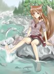  animal_ears barefoot brown_eyes brown_hair feet fish holo long_hair river sitting sleeves_rolled_up soaking_feet solo spice_and_wolf stream tail tk28 water wolf_ears wolf_tail 