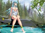  80s anklet barefoot blue_hair breasts center_opening cleavage flare_(lyon_densetsu_flare) flare_(reyon_densetsu_flare) jewelry kou_(rall_oukoku) long_hair lyon_densetsu_flare medium_breasts nature oldschool reyon_densetsu_flare solo 