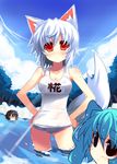  animal_ears aqua_hair black_hair blush breasts cleavage hands_on_hips inubashiri_momiji kawashiro_nitori large_breasts looking_at_viewer multiple_girls one-piece_swimsuit river school_swimsuit shameimaru_aya shin_(new) short_hair smile swimsuit tail touhou two_side_up wading water wet white_hair wolf_ears wolf_tail 