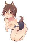 animal_ear_fluff animal_ears bare_arms bare_legs bare_shoulders barefoot blush brown_eyes brown_hair collarbone commentary_request dog_ears dog_girl dog_tail flat_chest hands_on_own_chest looking_at_viewer maze_(gochama_ze_gohan) miyafuji_yoshika school_swimsuit seiza short_hair simple_background sitting solo strap_slip strike_witches swimsuit swimsuit_pull tail textless white_background world_witches_series 