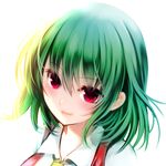  bangs close-up closed_mouth collared_shirt cravat eyebrows_visible_through_hair face from_above green_hair hair_between_eyes highres kazami_yuuka maryquant portrait red_eyes shade shirt short_hair simple_background smile touhou white_background white_shirt 
