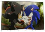  aoki_(fumomo) clenched_teeth confrontation forest furry gloves interlocked_fingers multiple_boys nature no_humans shadow_the_hedgehog sonic sonic_adventure_2 sonic_the_hedgehog sweat teeth 