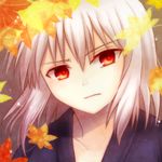  amano-sora autumn_leaves frown japanese_clothes lowres male_focus open_clothes red_eyes solo toono_shiki_(2) tsukihime upper_body white_hair 
