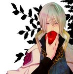  1boy akagami_no_shirayukihime apple blonde_hair blue_eyes brothers cape eating food fruit izana_wistalia looking_at_viewer male male_focus platinum_blonde pov prince red_apple siblings solo zen_wistalia 