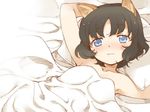  :3 animal_ears armpits bad_id bad_twitter_id bed black_hair blanket blue_eyes blush cat_ears collarbone hand_behind_head looking_at_viewer lying naked_sheet pillow pillow_grab pole_(ppp1409) short_hair smile solo tareme under_covers 