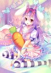  :d animal_ears bed bunny_ears carrot diamond_(shape) dress frilled_dress frilled_legwear frills happy looking_at_viewer on_bed open_mouth original pillow pillow_hug puffy_short_sleeves puffy_sleeves purple_hair ribbon short_dress short_sleeves sitting sitting_on_bed smile solo star striped striped_legwear thighhighs tougetsu_hajime yellow_eyes 
