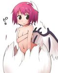  animal_ears bird_wings blush breasts covering covering_breasts eggshell frown hatching jagabutter looking_at_viewer mystia_lorelei navel nude pink_hair small_breasts solo touhou wings yellow_eyes 