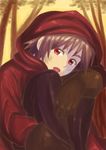  bandaid brown_hair cloak eyebrows forest gloves hood hooded_cloak kr96 looking_at_viewer nature open_mouth original red_eyes scratches short_hair sitting solo thick_eyebrows tree 