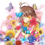  brown_hair bug butterfly colorful flower insect katou_kouki one_eye_closed original short_hair smile solo sunflower yellow_eyes 