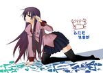  bakemonogatari blue_eyes long_hair monogatari_(series) necktie purple_hair school_uniform senjougahara_hitagi skirt smine solo thighhighs zettai_ryouiki 