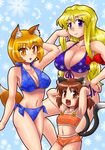  animal_ears bikini blonde_hair breasts brown_eyes brown_hair cat_ears cat_tail chen cleavage earrings fox_ears fox_tail hat jewelry large_breasts long_hair midriff multiple_girls multiple_tails navel purple_eyes sasuke_(sasuke_no_sato) short_hair slit_pupils swimsuit tail touhou yakumo_ran yakumo_yukari yellow_eyes 