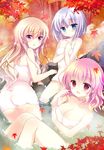  ass bare_shoulders blonde_hair blue_eyes breasts cleavage hands_on_own_chest ichiyou_moka konpaku_youmu large_breasts long_hair multiple_girls onsen pink_hair purple_eyes saigyouji_yuyuko short_hair silver_hair smile touhou towel yakumo_yukari 