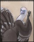  2010 against_wall anthro avian beak bird brown_feathers feathers javanshir looking_at_viewer side_view solo thick_thighs turkey white_feathers wings 