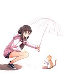  bare_legs blush brown_eyes brown_hair cat from_side hood hood_down hoodie liu_guniang long_sleeves no_socks original shadow shared_umbrella shoes simple_background sneakers solo squatting transparent transparent_umbrella umbrella water_drop white_background 