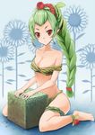  anklet bare_shoulders braid bush collarbone cube dryad_(terraria) expressionless field flower flower_field green_hair jewelry leaf long_hair looking_at_viewer mokkosu. off_shoulder plant plant_girl pointy_ears ponytail red_eyes rose scrunchie single_braid sitting strap_slip sunflower terraria wariza 