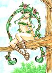  alternate_hairstyle braid dryad_(terraria) highres long_hair plant_girl rodeorodeo solo terraria traditional_media tree tree_branch twin_braids 