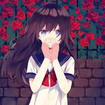  absurdres blue_eyes brick_wall brown_hair crying flower hands_on_own_face highres long_hair looking_at_viewer me_(1005646017) original ribbon rose sad school_uniform short_sleeves solo 