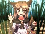  animal_ears bag bamboo bamboo_forest blush breasts brooch brown_eyes brown_hair collarbone dress fangs fingernails food forest fruit happy holding holding_bag imaizumi_kagerou jewelry long_hair looking_at_viewer medium_breasts nail_polish nature open_mouth tail touhou volcano_(liao) wolf_ears wolf_tail 
