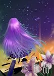  bakemonogatari boxcutter flower from_behind jidori_(iris) long_hair monogatari_(series) night purple_hair scissors senjougahara_hitagi skirt sky solo stapler star_(sky) starry_sky thighhighs zettai_ryouiki 