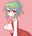  alternate_hairstyle ascot blush breasts checkered checkered_skirt checkered_vest green_hair kazami_yuuka large_breasts marshmallow_mille ponytail red_background red_eyes skirt solo touhou vest 