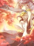  animal_ears autumn_leaves bare_shoulders breasts detached_sleeves extra_ears inubashiri_momiji kouho_(matya03) leaf looking_at_viewer medium_breasts midriff pom_pom_(clothes) short_hair silver_hair solo sword tail touhou tree_branch weapon wolf_ears wolf_tail yellow_eyes 