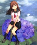  1girl aki_(mare_desiderii) black_legwear brown_eyes brown_hair closed_umbrella flower head_tilt highres hydrangea kneehighs leaf legs loafers long_hair looking_up original school_uniform serafuku shoes sitting skirt solo umbrella water 