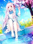 barefoot cherry_blossoms dress hoshiyui_tsukino kagerou_project kozakura_marry long_hair petals red_eyes silver_hair solo tree very_long_hair water 