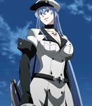  akame_ga_kill! blue_eyes blue_hair breasts colored_eyelashes esdeath hat highres large_breasts long_hair smile solo standing stitched sword uniform weapon 