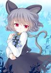  animal_ears flower iris_anemone looking_at_viewer mouse_ears mouse_tail nazrin parted_lips red_eyes short_hair silver_hair solo tail touhou wind 