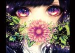  bangs black_hair eyes flower flower_request leaf multicolored multicolored_eyes original purple_eyes ragi_(pluie) red_eyes solo yellow_eyes 