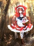  brown_eyes brown_hair carrying forest highres himemurasaki little_red_riding_hood little_red_riding_hood_(grimm) long_hair nature original picnic_basket red_hood solo 